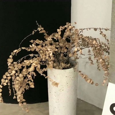 原创Furry角色设计FurryQQ群